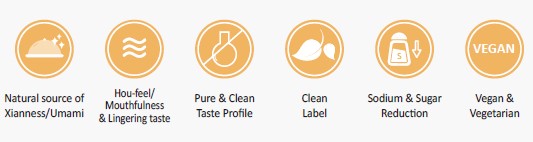 functions yeast for chemical supplier UK